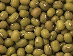 Mung Beans