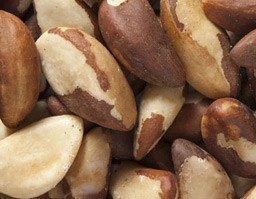 Brazil Nuts